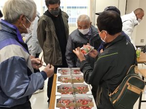 イチゴを持ち上げて確認する生産者(12月10日）