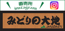 直売所みどりの大地インスタグラム