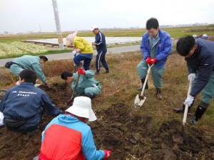 ビニールハウス再建のため、土をほりおこす当ＪＡ職員
