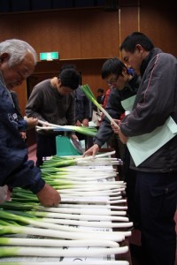 出荷規格を確認する生産者