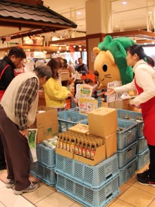 ちばみーもキュウリをＰＲしています