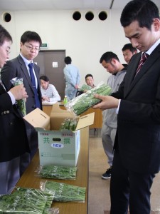 青果市場の担当者とともに出荷規格を確認します