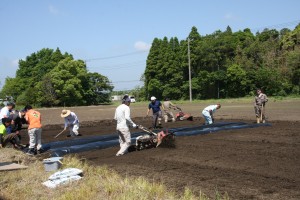 畑を耕し、芋苗植えの準備をする青年部員