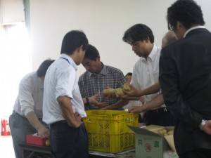 出荷規格を確認する生産者と市場担当者