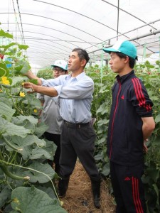 キュウリの栽培管理について説明する加瀬会長（中央）