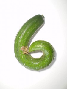 ひっくり返すと６にも見えます