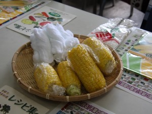 トウモロコシの試食
