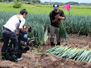 長ネギの畑での様子や収穫の仕方を説明する生産者