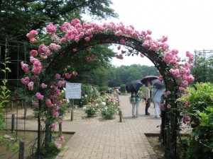 花のアーチ