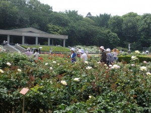 親睦を深めながら散策を楽しむ女性部員