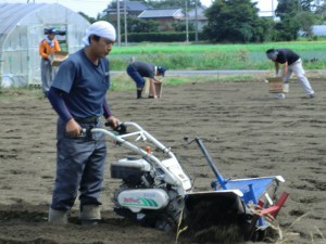 ジャガイモを植える青年部員