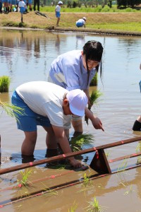 生徒と手植えを行う児童