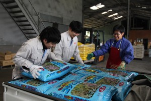 ＪＡちばみどり職員の指導を受けながら肥料を運ぶＪＡ全農ちば新規採用職員