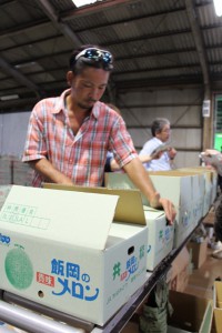 貴味メロンの出荷作業を行う生産者