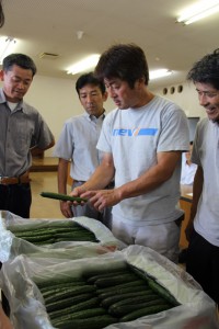 出荷規格を確認する生産者