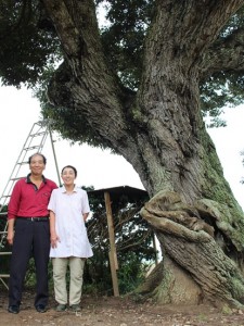 フクロウが生まれた木の前に並ぶ床枝さん夫妻