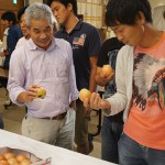 トマトの出荷規格を確認する生産者