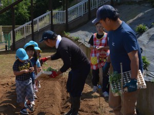 青年部員の説明を聞き、苗を定植する園児たち