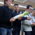 ダイコンの出荷規格を確認する生産者