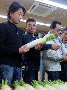 ダイコンの出荷規格を確認する生産者