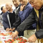 出荷規格を確認する生産者たち
