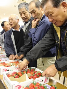 出荷規格を確認する生産者