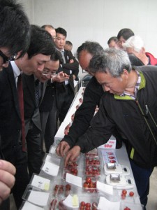 査定品を確認する生産者と市場担当者