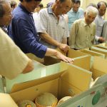 現品を確認する生産者