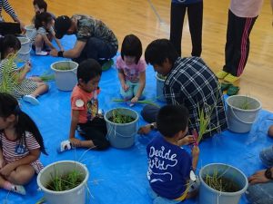 バケツ田んぼの稲刈りに挑戦する児童と青年部員（９月１３日)
