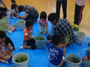 バケツ田んぼの稲刈りに挑戦する児童と青年部員（９月１３日)