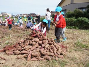 収穫したサツマイモを運ぶ園児(10月14日)