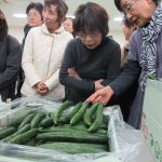 査定品を確認する生産者と市場担当者（1月16日）