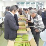査定品を確認する生産者（5月12日)