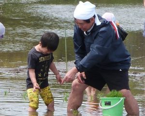 親子で苗植えを楽しむ参加者（5月6日）