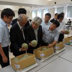 現品を確認する市場担当者（6月12日)