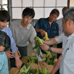 現品を確認する生産者と市場担当者（6月15日)