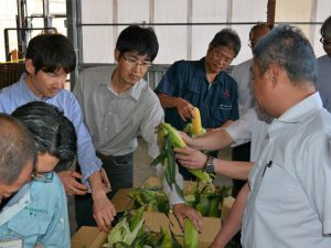 現品を確認する生産者と市場担当者（6月15日)