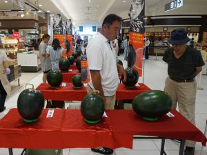 真っ黒スイカを審査する来場者(7月22日）