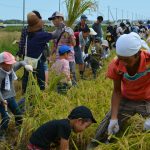 親子で稲刈りを楽しむ参加者（9月9日)