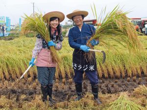 立派な稲を収穫した東島アナウンサー（左）と高嶋さん（右）