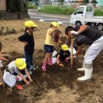 サツマイモを収穫する部員と児童（9月13日)