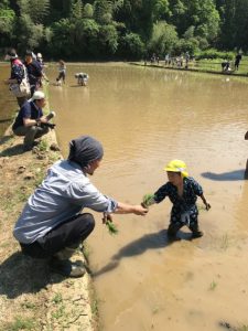 菅谷支部長（左）と田植えを行う参加者（5月5日）