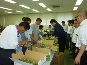 現品を確認する市場担当者と生産者（5月18日）
