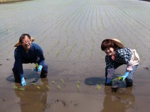 手植えにも挑戦（4月26日）