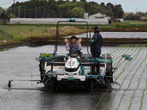 04.26 ニッポン放送田植え③