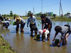 まっすぐ植えるのに試行錯誤しながら田植えを楽しむ参加者（5月20日）