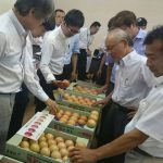 現品を確認する生産者(07月20日)