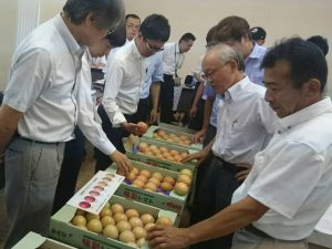 現品を確認する生産者(07月20日)