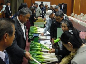 出荷規格を確認する生産者(5月7日)