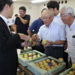 現品を確認する生産者と市場担当者(7月19日)